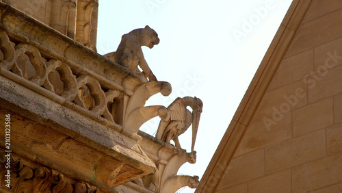 Картината върху платно Stone gargoyles and architectural details of Notre-Dame Cathedral in Paris, seen against a bright sky