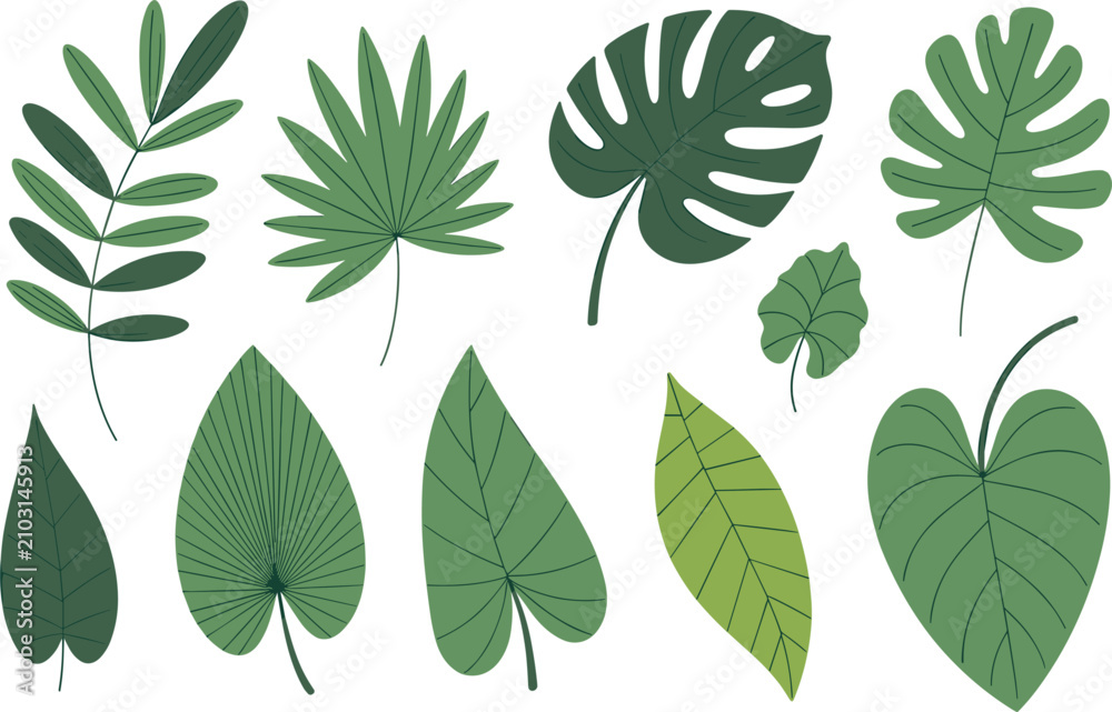 Naklejka premium Tropical Leaf Collection, Botanical Jungle Foliage Vector Set with Monstera Palm Exotic Leaves Illustration Pack Isolated