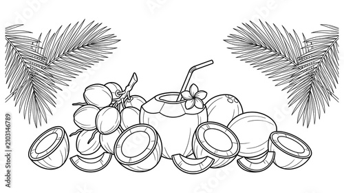 Fresh coconuts outline drawing with tropical palm leaves for coloring book or summer theme.