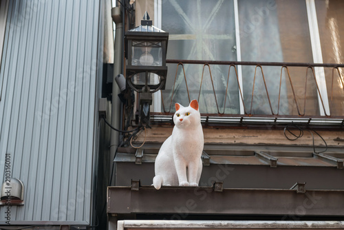 cat statue decor on home roof at Yanaka Ginza shopping street, Tokyo