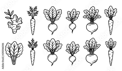 Canvastavla Root Vegetable Silhouette Icon Set with Ginger and Leafy Greens