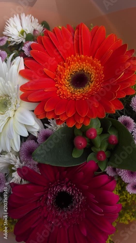 Close up of colorful gerbera daisy bouquet with orange and white flowers