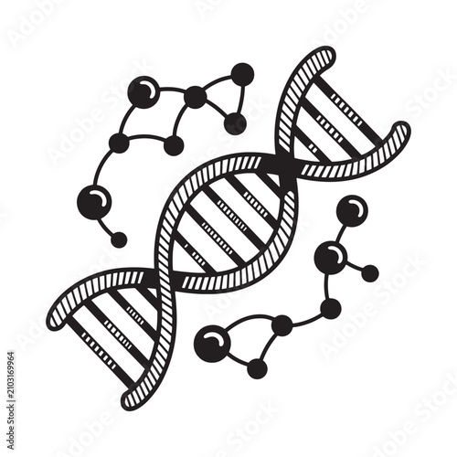 Dna Double Helix Structure Black Silhouette On White Background