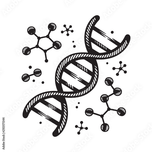 Dna double helix and molecular structures black vector illustration on white