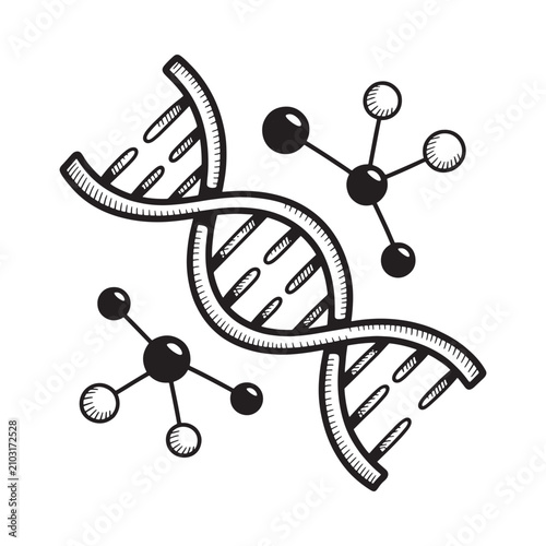 Dna Double Helix Illustration Black And White Line Art