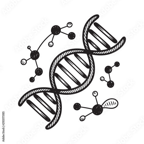 Dna Double Helix Illustration With Molecular Structures Black And White