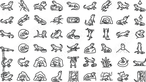 Bearded Dragon Line Art Icon Set with Outline Symbols for Pet Lizard Care, Herpetology Reptile Habitats, Vivarium Supplies, and Exotic Animal Breeding