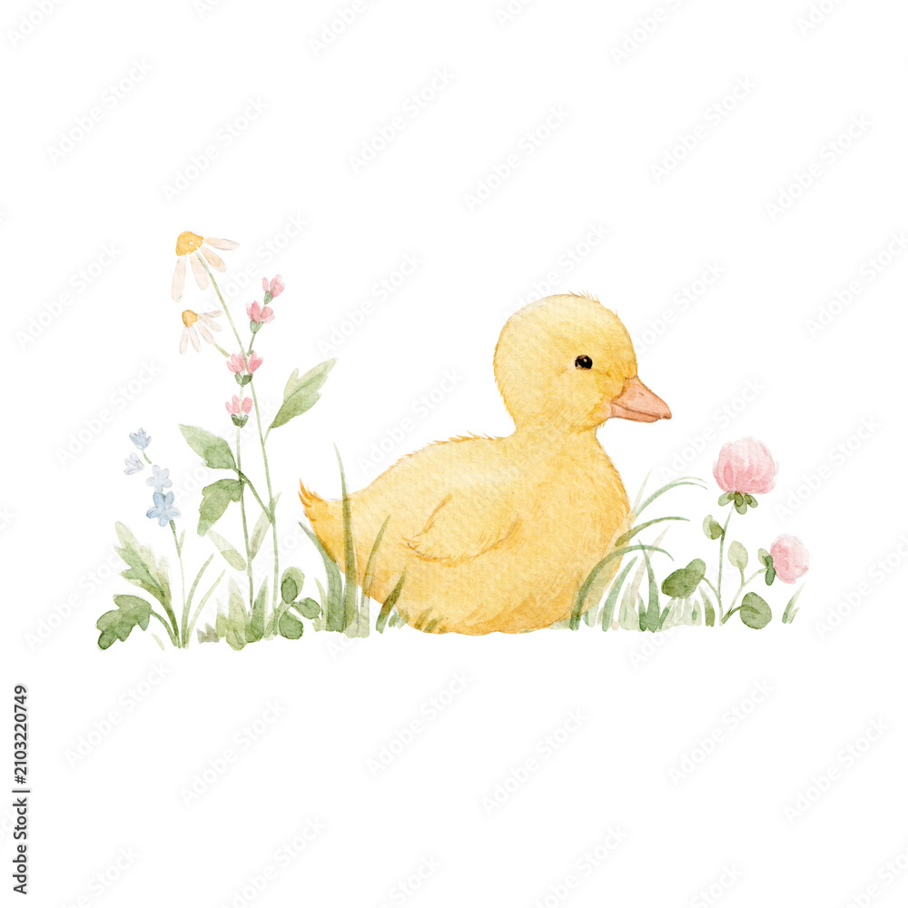Fototapeta premium Cute Yellow Duckling Looking at a Dragonfly Watercolor Clipart