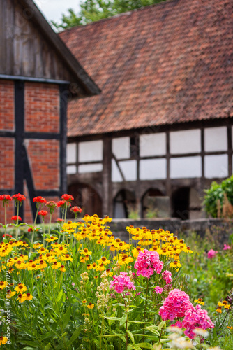Fotografía Blooming cottage garden with red and violet summer flowers