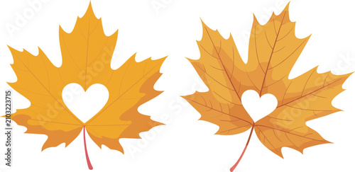 Two Orange Maple Leaves with Heart Cutouts maple leaf