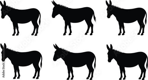 Obraz na płótnie Domestic donkey animal black silhouette collection standing side view farm mamma