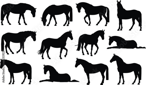 Foto Horse silhouettes collection diverse poses for graphic design and equestrian art