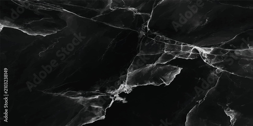Luxury black marble texture with white veins for architectural design background abstract polished interiors architecture material backdrop geometric contrast monochrome renovation