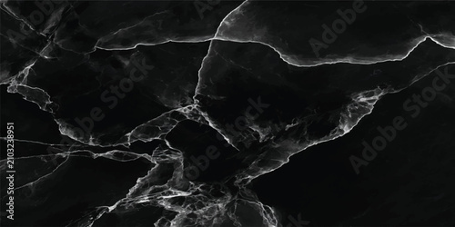 Polished black marble texture with bold white veins background abstract polished interiors architecture material backdrop geometric contrast monochrome renovation building bathroom