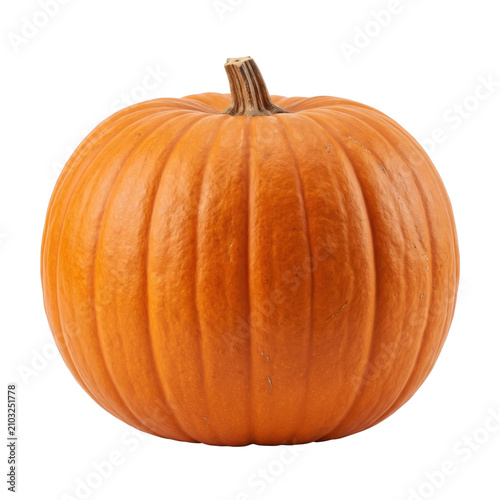 Принти на полотні Fresh whole ripe pumpkin for harvest