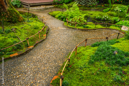 Pathway in forest garden and footpath,Tranquil river scene with mossy rocks,nature rainforest,Waterfall in Garden landscape design space for text.