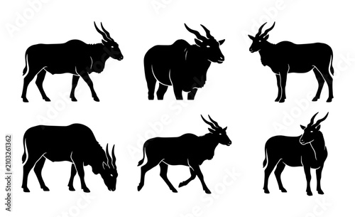 Photography African Antelope Silhouette Collection, Six Eland Vector Icons, Wildlife Animal