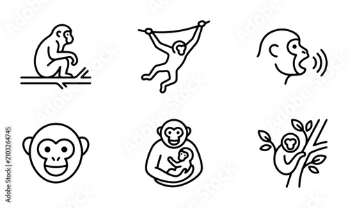 Photography Monkey Icons Set, Primate Vector Graphics, Chimpanzee Line Art Collection, Jungl
