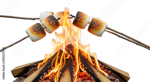 Toasting marshmallows on campfire isolated on transparent background