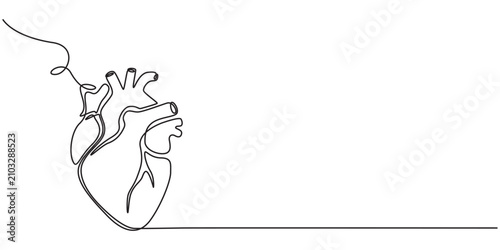 One continuous line drawing of anatomical human heart organ. Medical internal anatomy concept. Modern single line draw trendy design vector illustration, pro vector