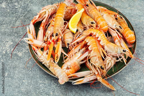 Freshly caught langoustines.