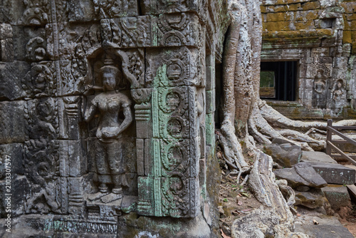 Foto Ta Prohm was Jayavarman VII's first major temple, and an ancestral temple dedica