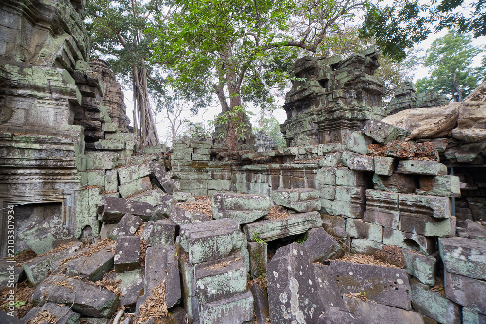 Fototapeta premium Ta Prohm was Jayavarman VII's first major temple, and an ancestral temple dedicated to his mother