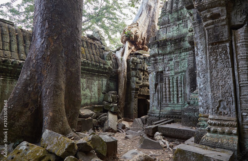 Naklejka premium Ta Prohm was Jayavarman VII's first major temple, and an ancestral temple dedicated to his mother