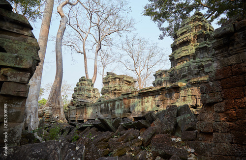 Konstfotografi Ta Prohm was Jayavarman VII's first major temple, and an ancestral temple dedica