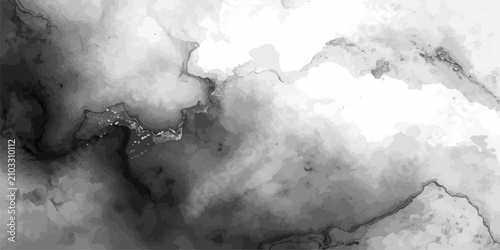 Fotografija Monochrome Marble Abstract A sophisticated monochrome abstract rendered in shades of grey, mimicking the intricate veining and polished surface of fine marble