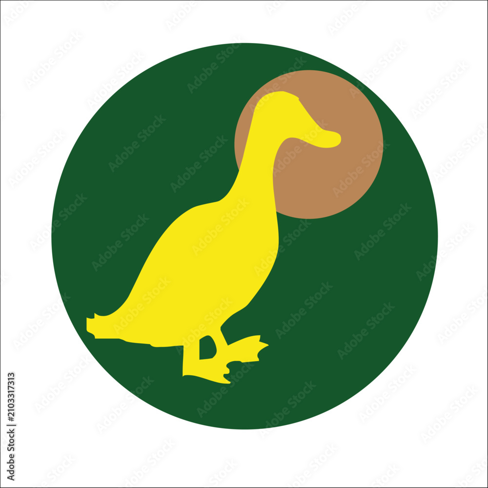 Fototapeta premium AVES, PALOMA, CISNE, AGUILA, PATO, BUHO, CONDOR, PLUMAS, CIELO, VUELO, SOL, VERDE, NATURAL, VIENTO, BRISA