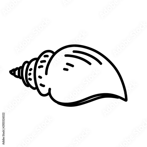 simple line sketch of a sea shell on a white background