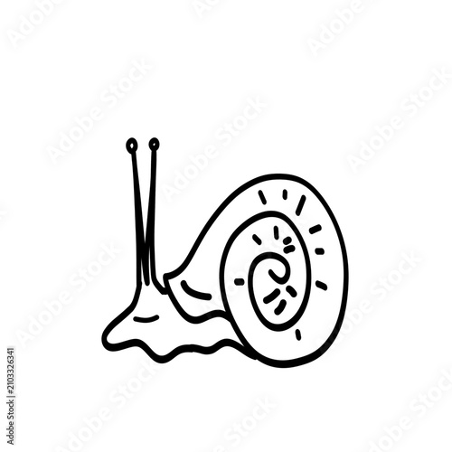 sketch for coloring a picture of a snail isolated on a white background