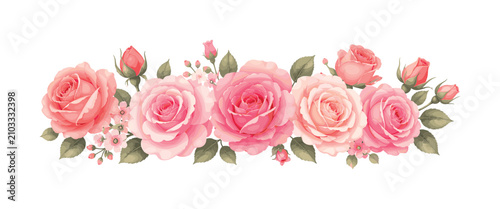 Pink rose blossom row with soft layered petals and floral decorative shapes, pink roses, blossoms, petals, flowers, floral, rose