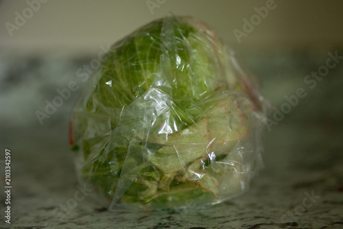 Cuadro en lienzo Bagged head of lettuce on the kitchen counter