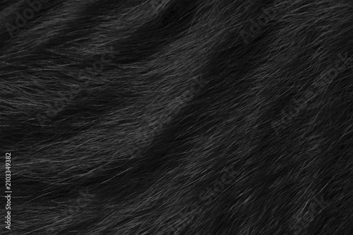 Black cat fur texture background.