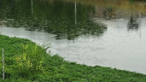 Calm pond surface dotted with rain droplets, subtle ripples and blurred tree reflections creating a peaceful, moody nature scene ideal for backgrounds, environmental themes, 4K