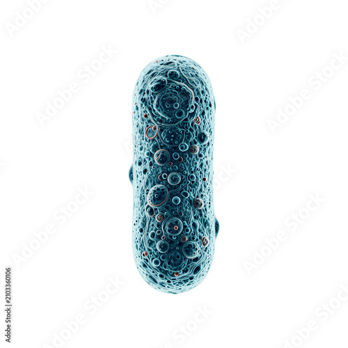 Detailed scientific illustration of a single bacterium on white background