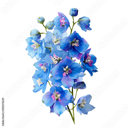 фотографія Delphinium Bouquet watercolor vector, hand-painted style, high-quality illustration isolated on white background