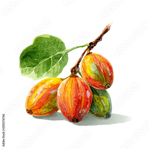 фотографія Haft-Seen watercolor artwork, high-quality professional vector illustration isolated on a white background