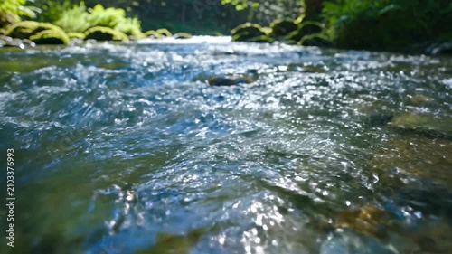 Sunlight glistens on the rhythmic surface of a bubbling mountain creek while flowing water moves over dark mossy river rocks deep within a vibrant green forest canopy during a warm summer