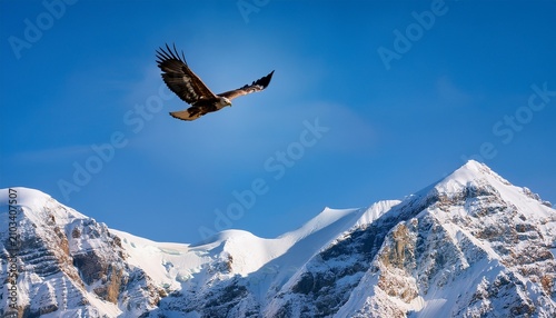 a powerful eagle glides gracefully above rugged snowy mountains under a clear blue sky
