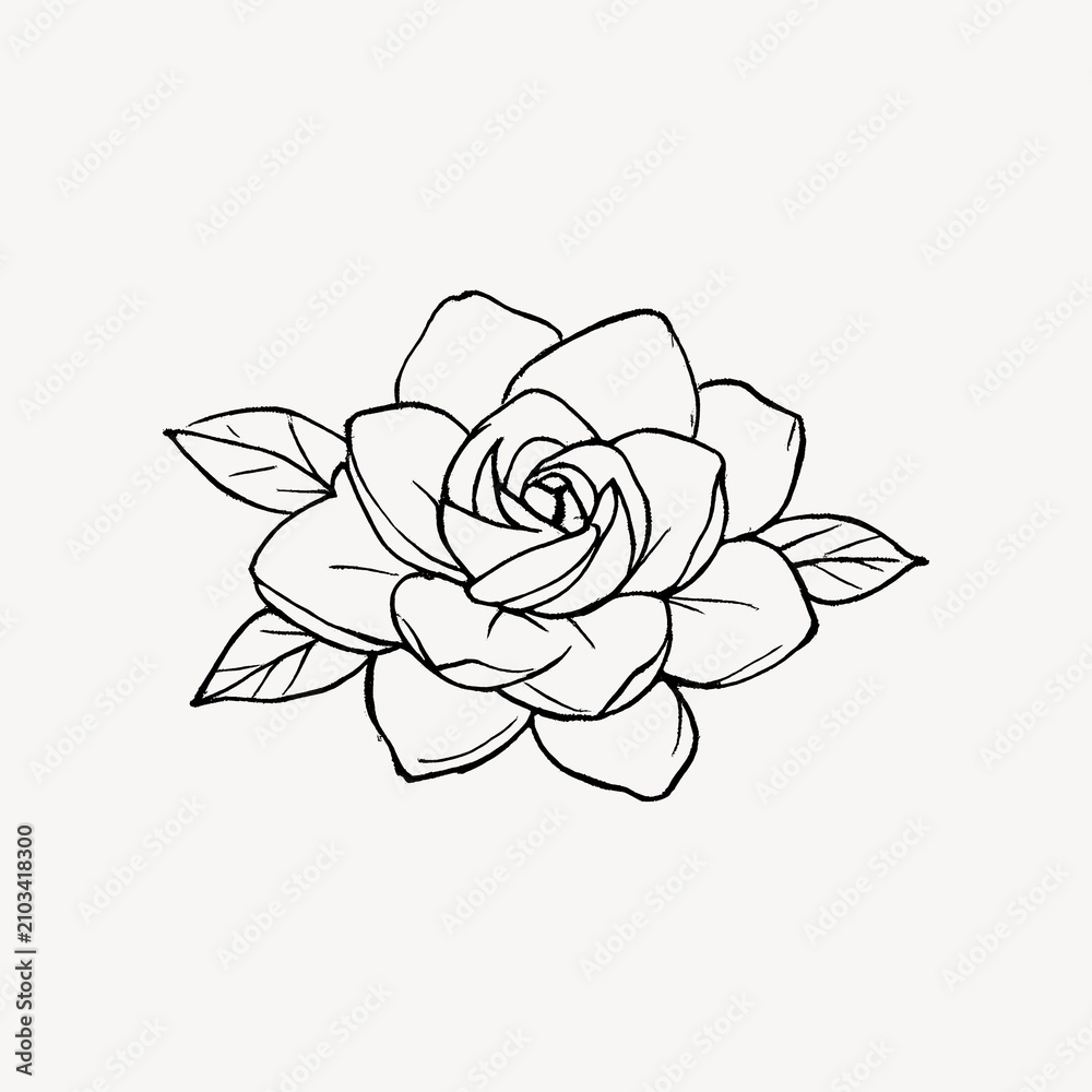 Obraz premium Minimalist rose sketch with leaves.