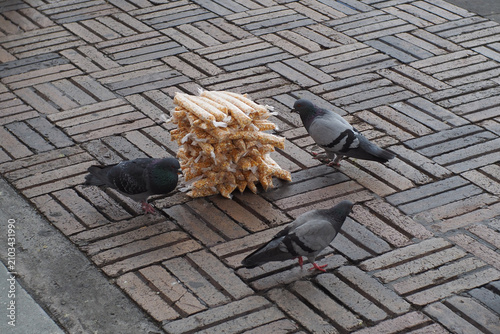 Pigeons gather around a stack of snacks on a city street.