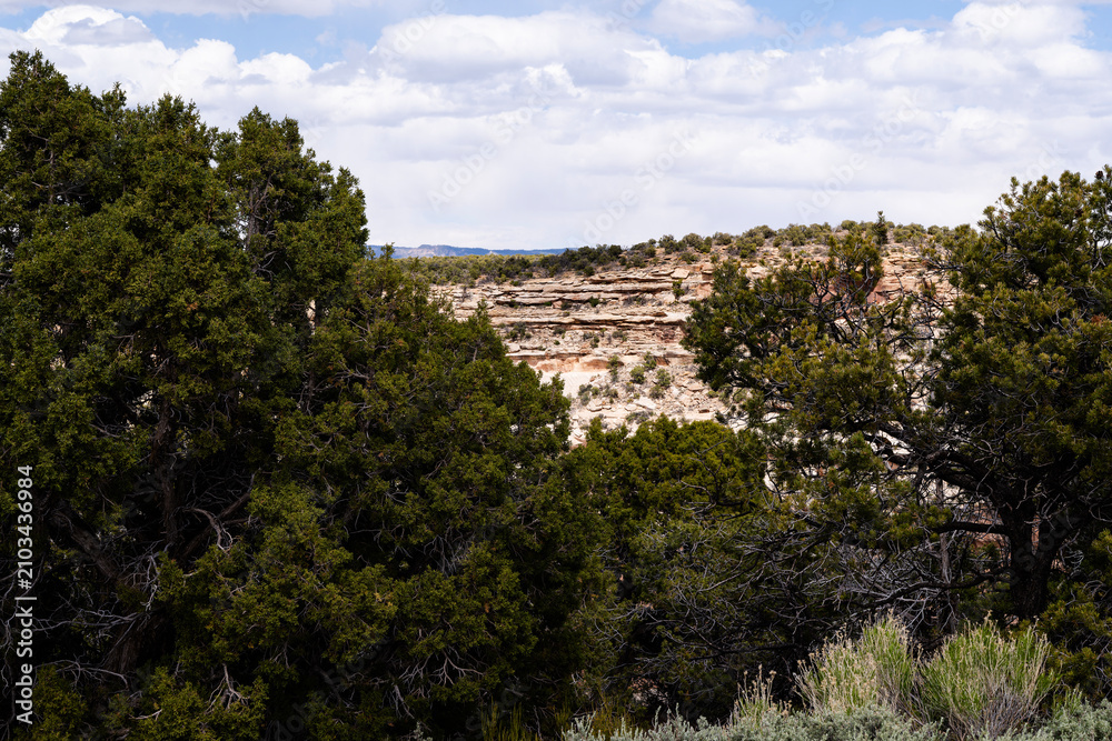 Fototapeta premium The rugged red sandstone cliffs of Canyon De Chelly newar Chinle, Arizona on the Navajo Nation