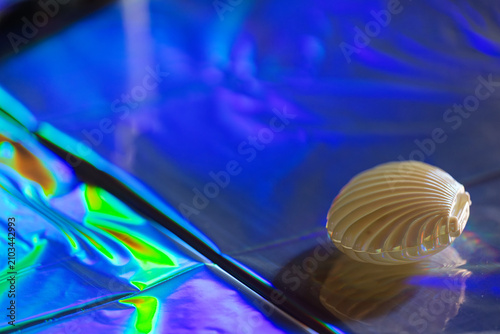Bild auf Leinwand White seashell on iridescent blue and green reflective surface with abstract lig