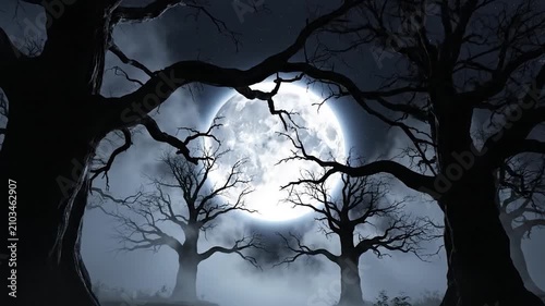 A bright full moon shines through dark silhouettes of gnarled trees