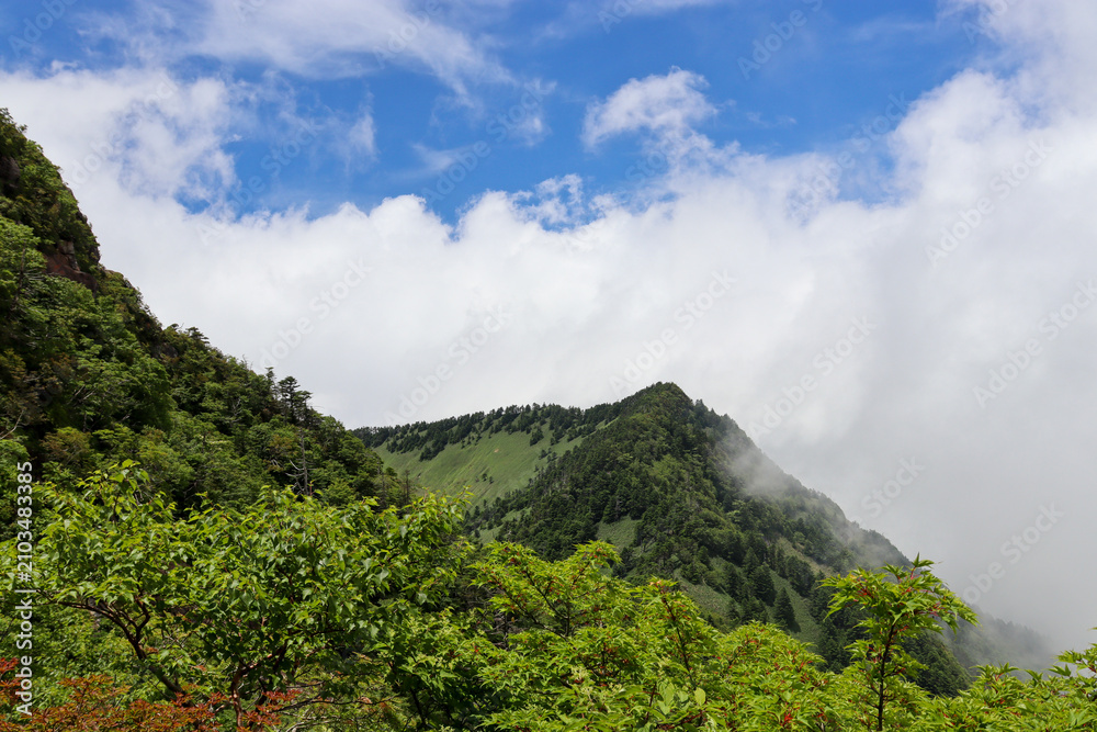 Fototapeta premium 初夏の石鎚山登山道からの雲に包まれた景色(愛媛県)
