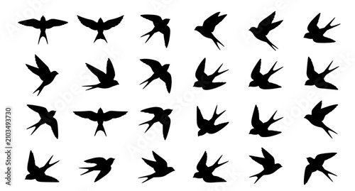 Bild auf Leinwand Flying bird flock vector illustration set with different bird poses isolated on