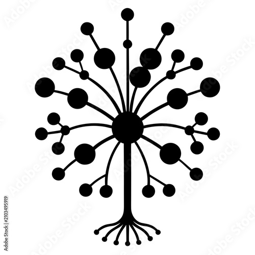 Photos Microscopic fungal hyphae network, black and white biological fungi